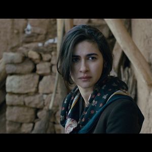 Bilder Kuzu - The Lamb