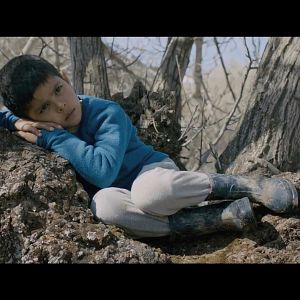 Bilder Kuzu - The Lamb