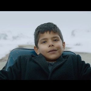 Bilder Kuzu - The Lamb