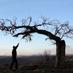 Bilder Gittiler: Sair ve Meçhul