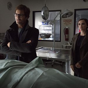 Bilder Rachael Leigh Cook