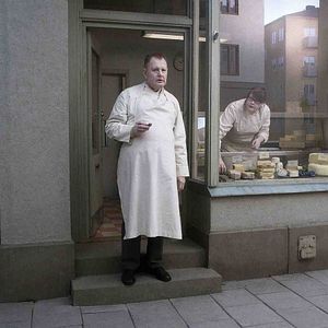 Bilder Eine Taube sitzt auf einem Zweig und denkt über das Leben nach