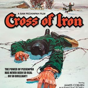 Bilder Steiner - Das Eiserne Kreuz