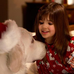 Bilder Santa Pfotes großes Weihnachtsabenteuer