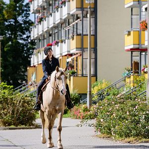 Bilder Winnetous Sohn