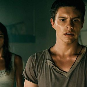 Bilder Bait - Haie im Supermarkt