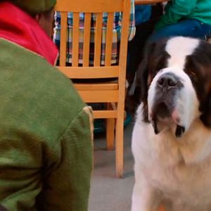 Bilder Beethovens abenteuerliche Weihnachten