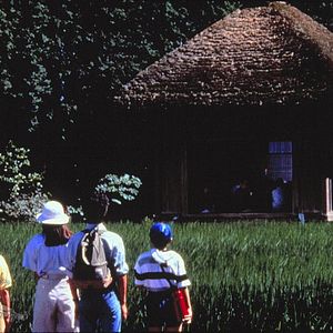 Bilder Rhapsodie im August