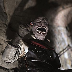 Bilder Jason Jay Prado