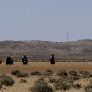 Bilder Démocratie Année Zéro