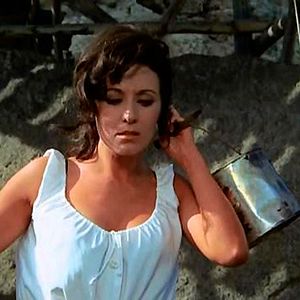 Bilder Los gallos de la madrugada