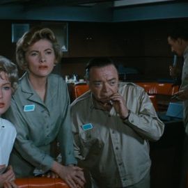 Bilder Unternehmen Feuergürtel