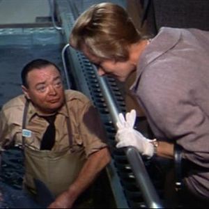 Bilder Unternehmen Feuergürtel