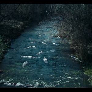 Bilder Helak: Kayıp Köy