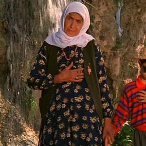 Bilder Die Farben des Paradieses