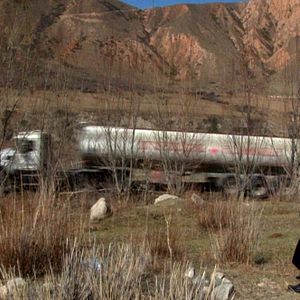 Bilder Flowers of Freedom