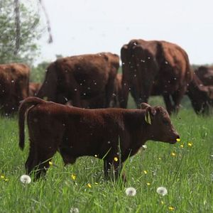 Bilder Viel Gutes erwartet uns