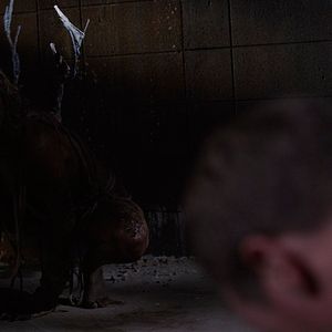 Bilder Kingdom Come - Zwischen Leben und Tod