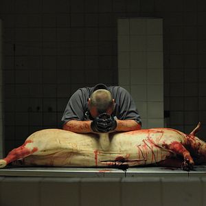 Bilder What the Fuck heißt REDIRECTED