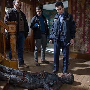 Bilder David Giuntoli