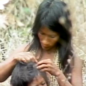 Bilder Tod im Regenwald