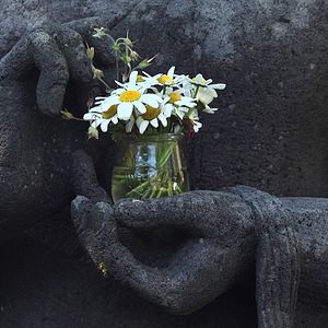 Bilder Stopping - Wie man die Welt anhält