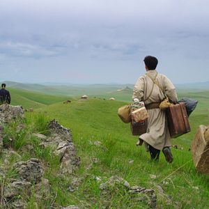 Bilder Der letzte Wolf