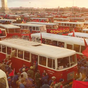 Bilder Der letzte Wolf