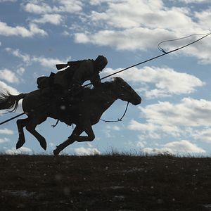 Bilder Der letzte Wolf