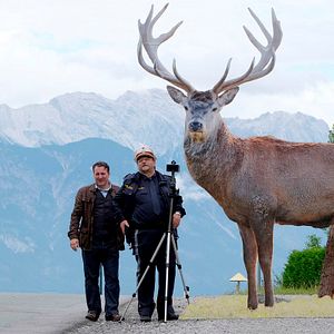 Bilder Robert Palfrader