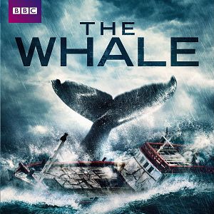 Bilder The Whale