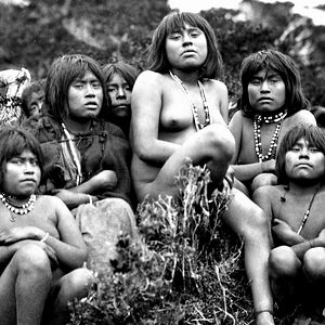 Bilder Der Perlmuttknopf