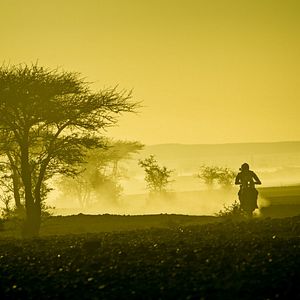 Bilder Africa Race - Zwei Brüder zwischen Paris und Dakar