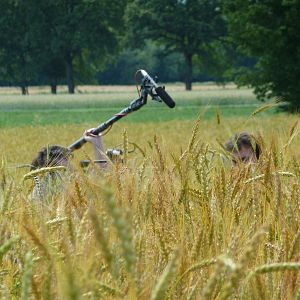 Bilder Regards sur nos assiettes