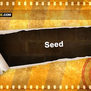 Bilder Seed