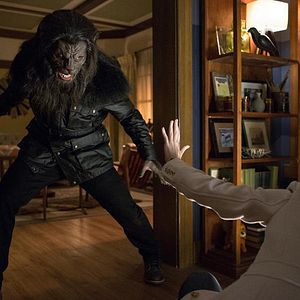 Bilder Arnold Vosloo