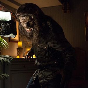 Bilder Arnold Vosloo