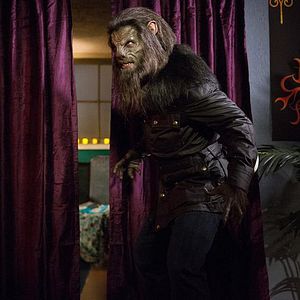 Bilder Arnold Vosloo