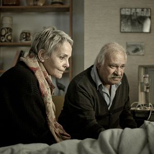 Bilder Levana Finkelstein