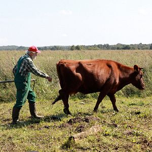 Bilder Viel Gutes erwartet uns