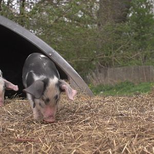 Bilder Viel Gutes erwartet uns