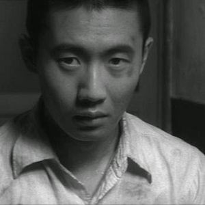 Bilder Der Tempel zur goldenen Halle