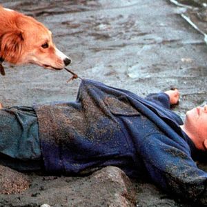 Bilder Bingo - Kuck' mal, wer da bellt