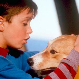 Bilder Bingo - Kuck' mal, wer da bellt