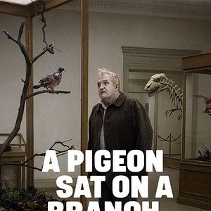 Bilder Eine Taube sitzt auf einem Zweig und denkt über das Leben nach