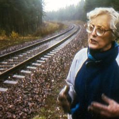 Bilder Out of the Forest