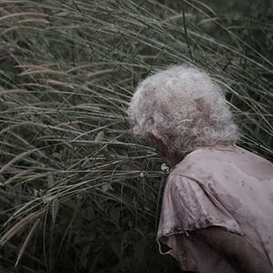 Bilder Vanishing Point