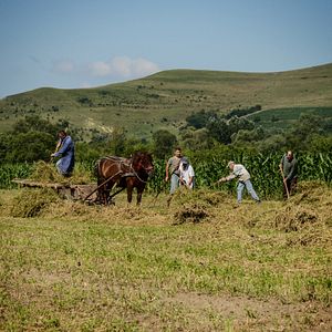Bilder Arbeit macht das Leben süß, Faulheit stärkt die Glieder