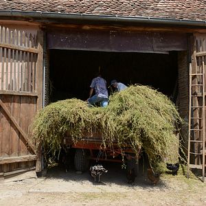 Bilder Arbeit macht das Leben süß, Faulheit stärkt die Glieder