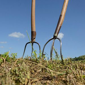 Bilder Arbeit macht das Leben süß, Faulheit stärkt die Glieder